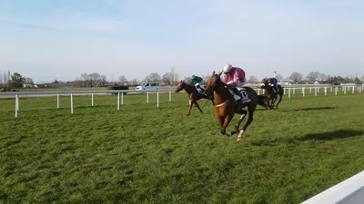 Les pronostics hippiques pour ce samedi 22 mars